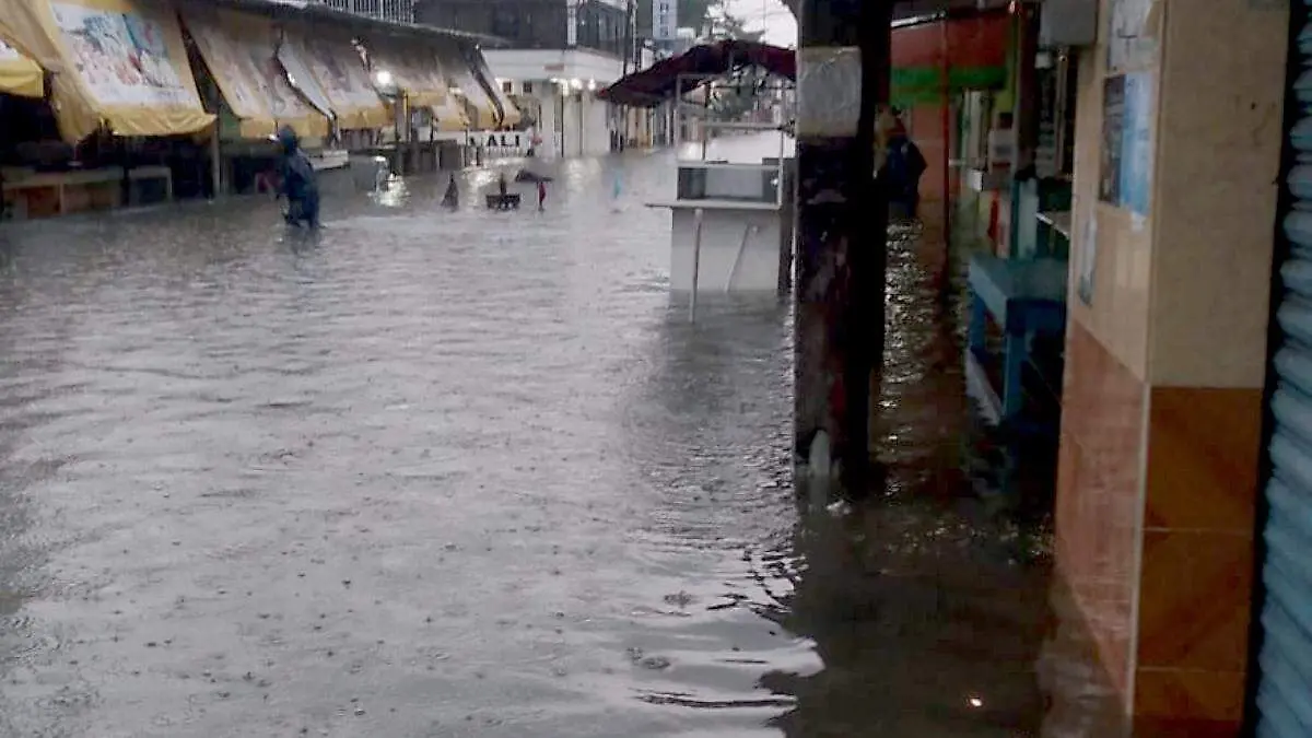 PARAISO INUNDADO